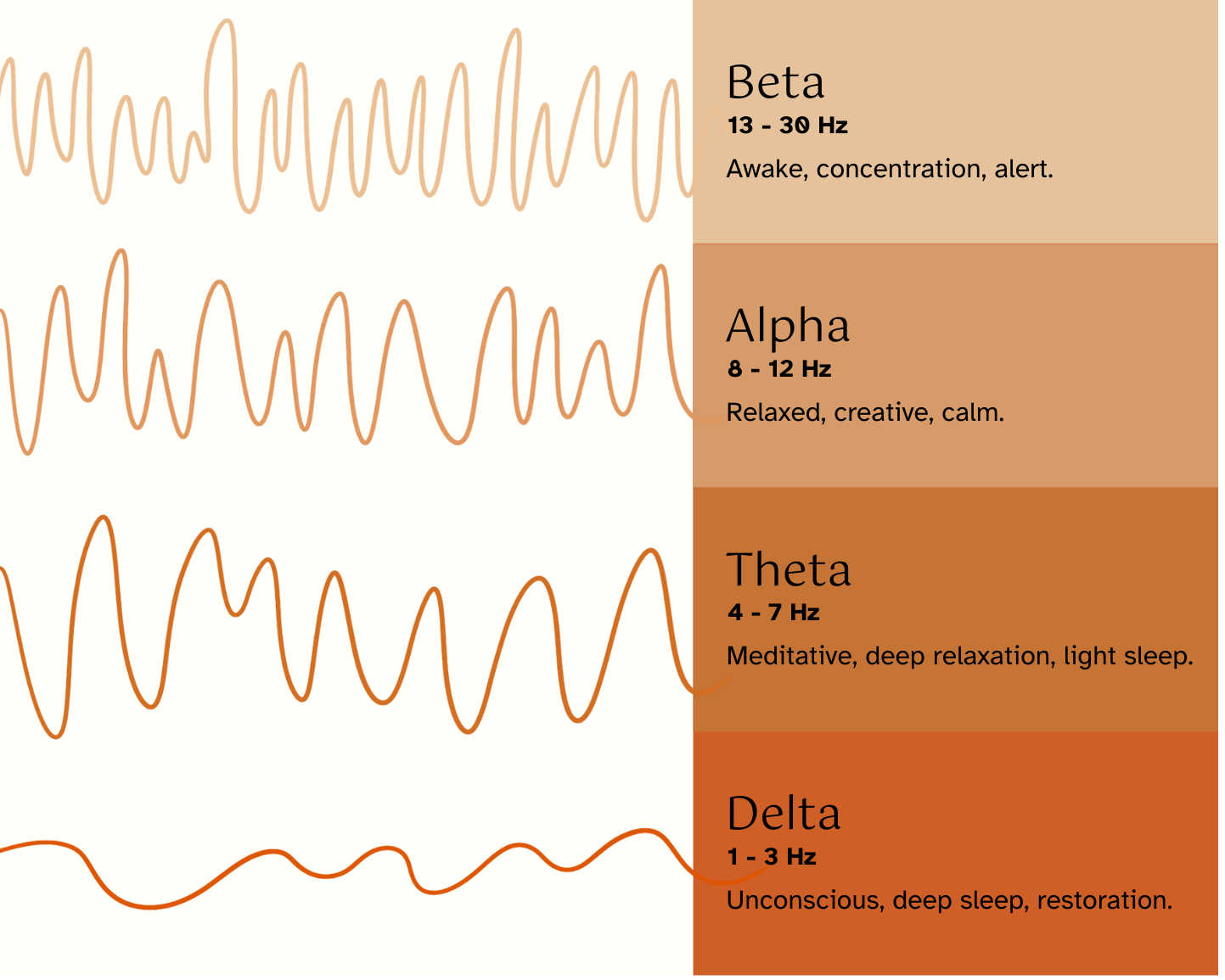 5 brain waves