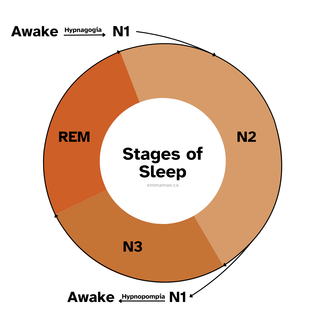 sleep cycle images